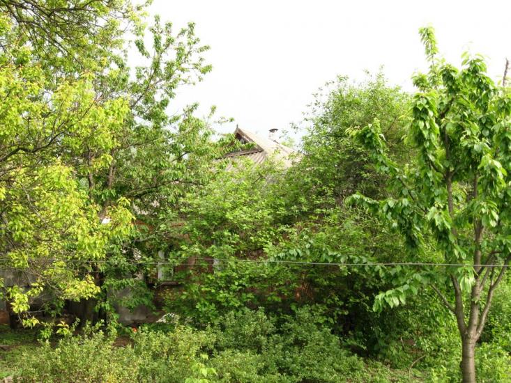 Кірове з panoramio.com - Кирово