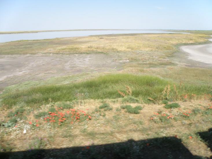 Чонгар з panoramio.com - Чонгар