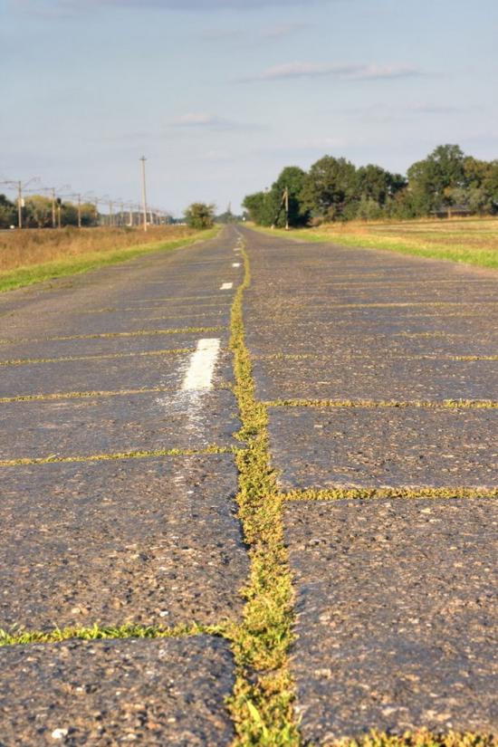 Пичугине з panoramio.com - Пичугине