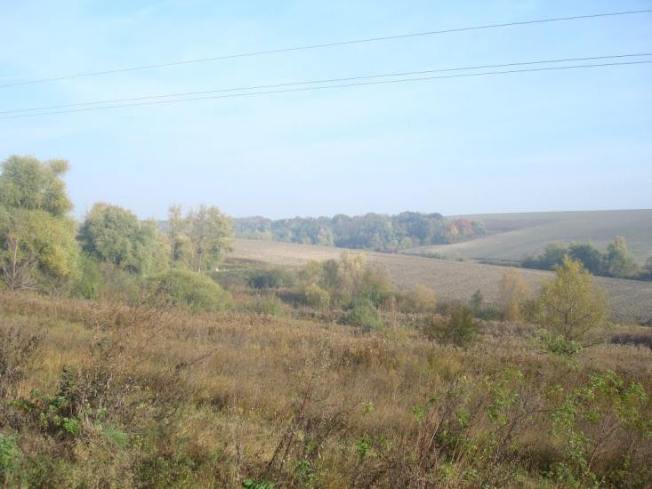 Лісогірка з panoramio.com - Lisogirka