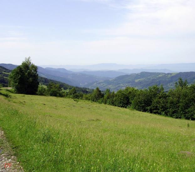 Косівська Поляна з panoramio.com - Косівська Поляна