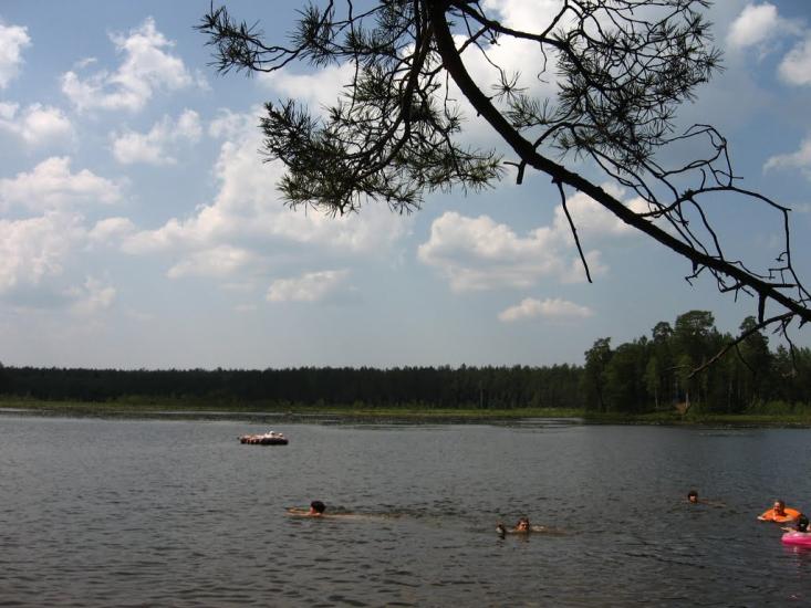 Варварівка з panoramio.com - Варварівка