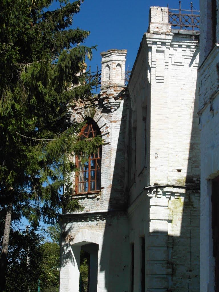 Тарноруда з panoramio.com - Tarnoruda