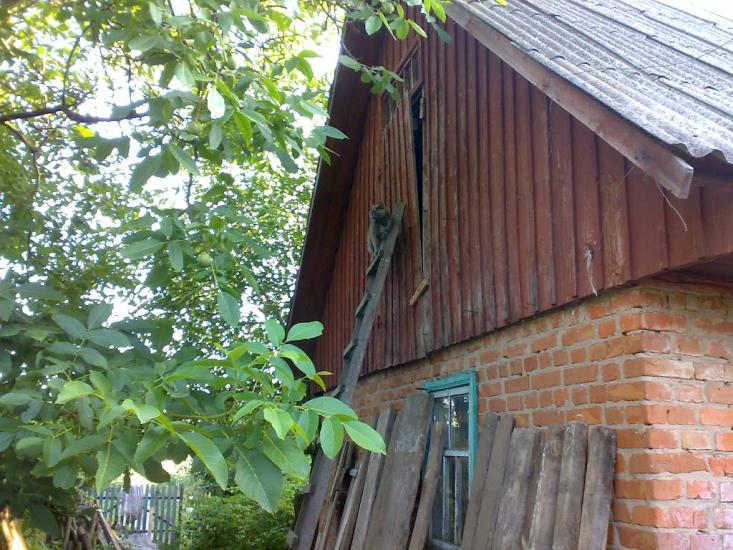 Чайківка з panoramio.com - Чайківка