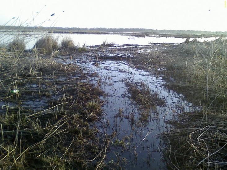 Кам'яні Потоки з panoramio.com - Kamyani Potoky
