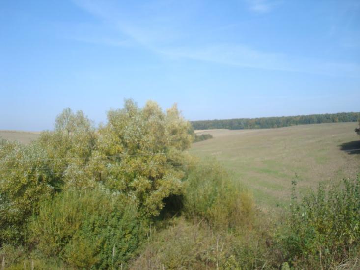 Дубівка з panoramio.com - Дубівка