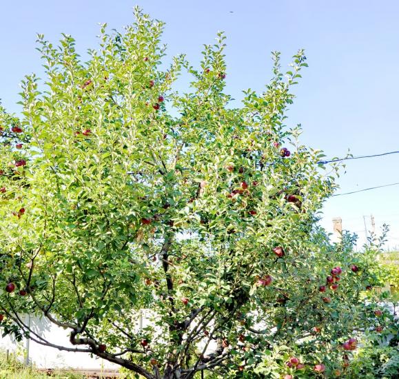 Провалля з panoramio.com - Провалье