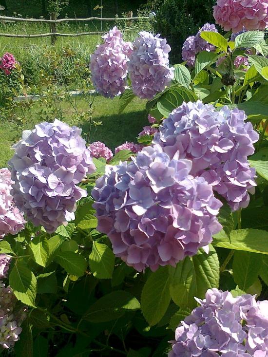 Розтоки з panoramio.com - Розтоки