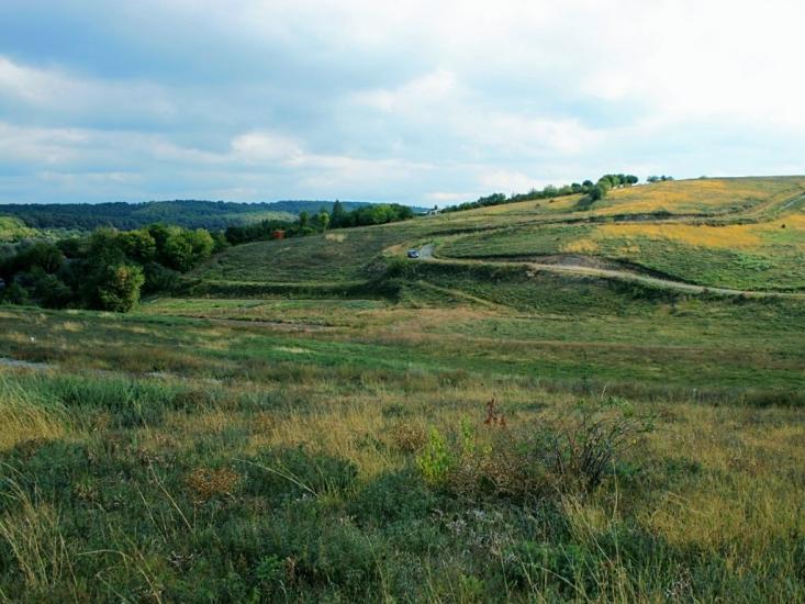 Барахти з panoramio.com - Barakhty