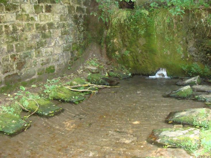 Борсуки з panoramio.com - Борсуки