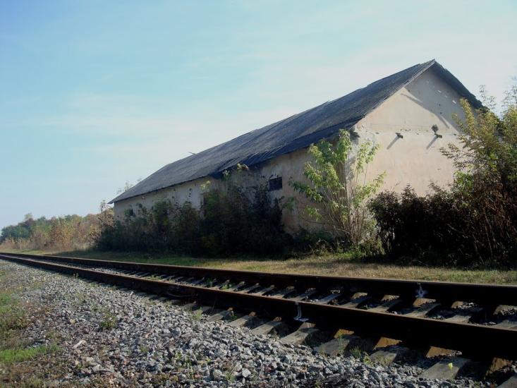 Лісоводи з panoramio.com - Лісоводи