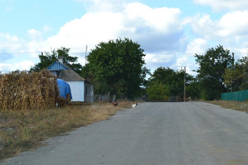 Новомлинівка з panoramio.com - Новомлинівка
