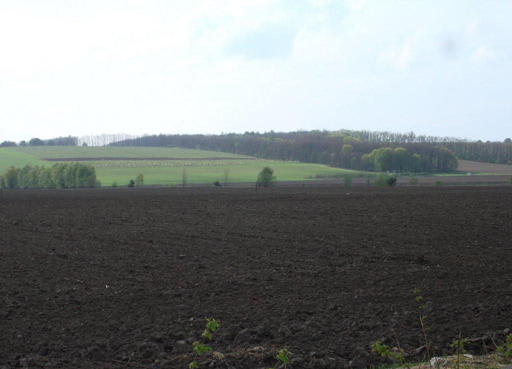 Білогородка з panoramio.com - Білогородка