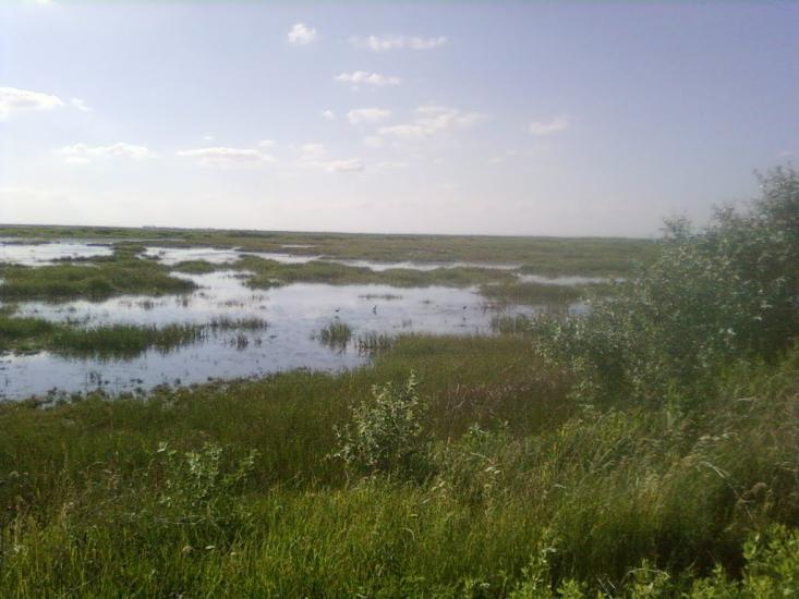 Червоний Чабан з panoramio.com - Червоный Чабан