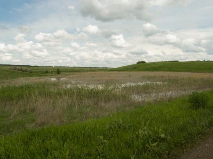 Омелькове з panoramio.com - Омелькове