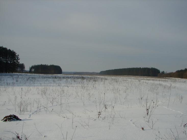 Мохначі з panoramio.com - Мохначі