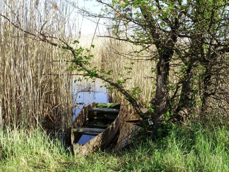 Ямпіль з panoramio.com - Yampil