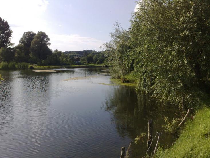 Чорників з panoramio.com - Чорників