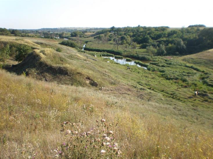 Липовеньке з panoramio.com - Липовеньке