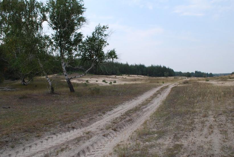 Капітанове з panoramio.com - Капитаново