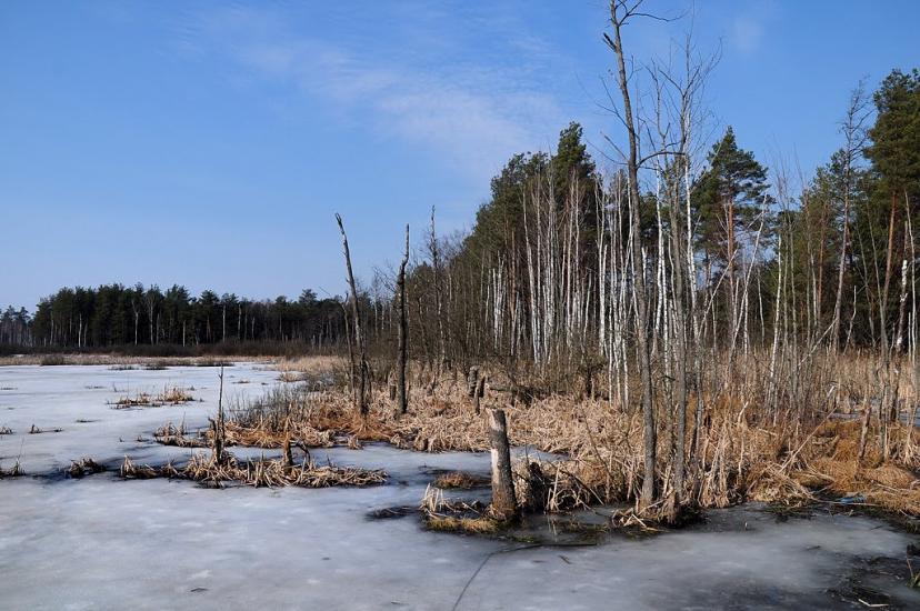 Кошари з panoramio.com - Кошари