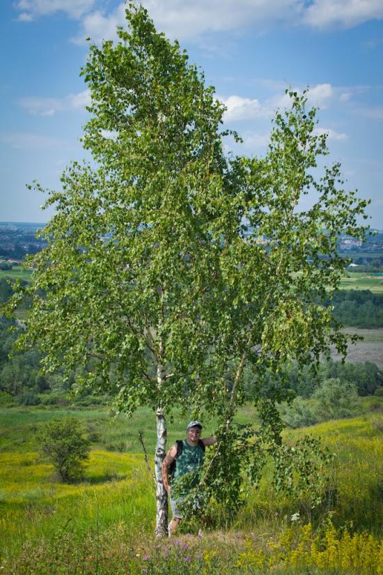 Воскресинці з panoramio.com - Воскресенцы