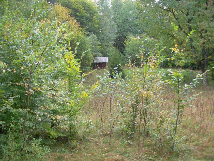 Яблунів з panoramio.com - Яблунів