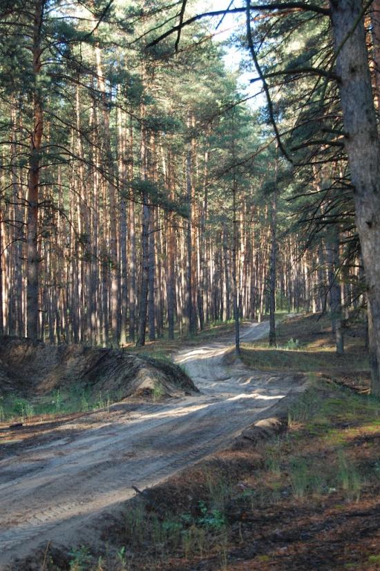 Дронівка з panoramio.com - Дронівка