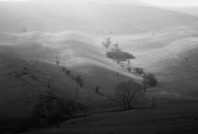 Нижньодеревечка з panoramio.com - Нижньодеревечка