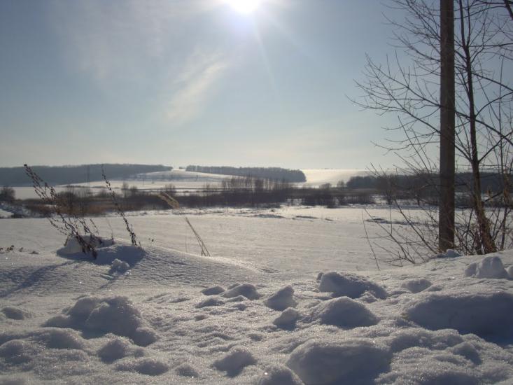 Северинівка з panoramio.com - Северинівка