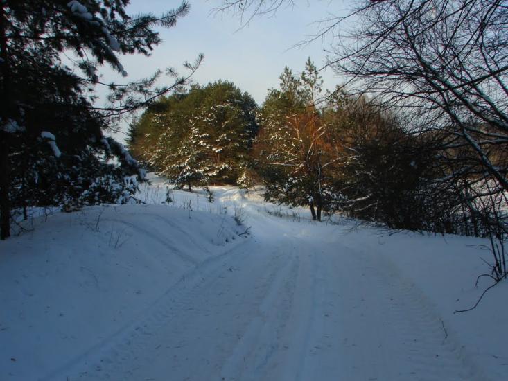 Мохначі з panoramio.com - Мохначі