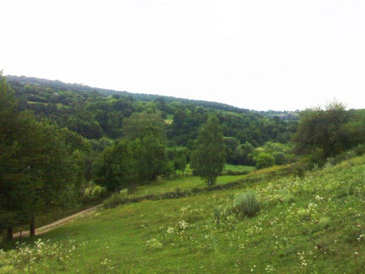 Голозубинці з panoramio.com - Голозубинці