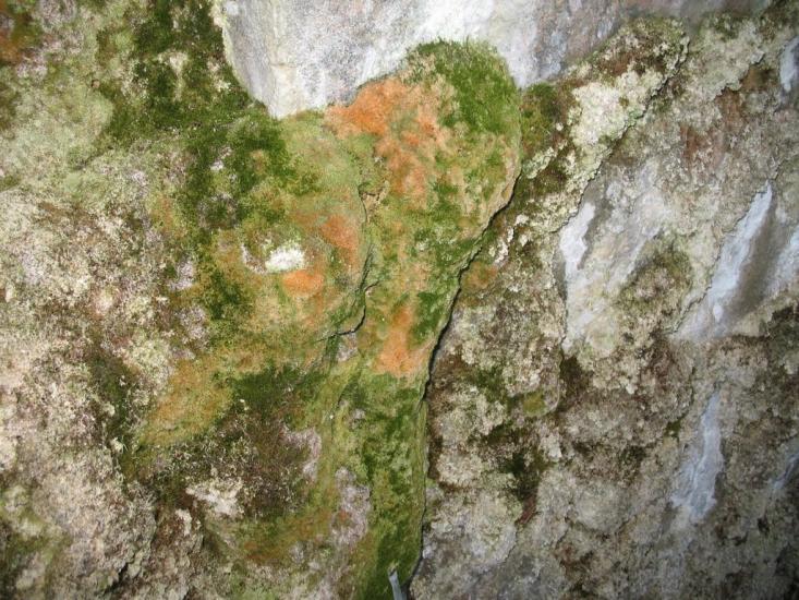 Кам'янка з panoramio.com - Каменка