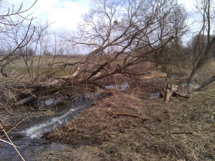 Любимівка з panoramio.com - Любимівка