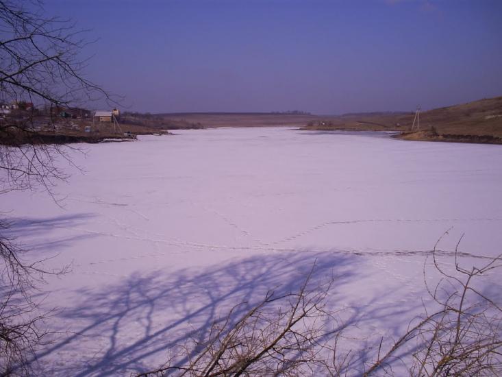 Кулібаба з panoramio.com - Кулібаба