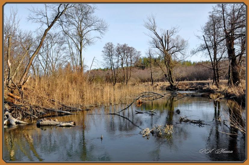 Торське з panoramio.com - Торское