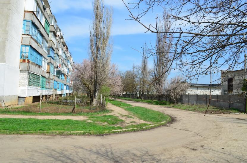 Амурське з panoramio.com - Амурское