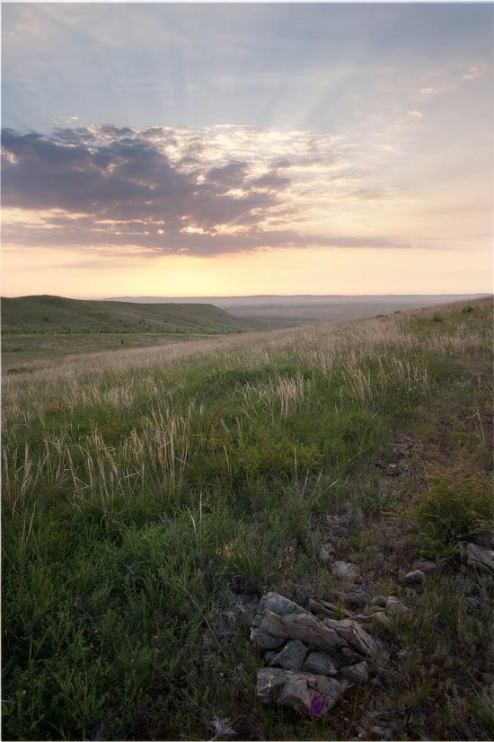 Нижньодеревечка з panoramio.com - Нижньодеревечка