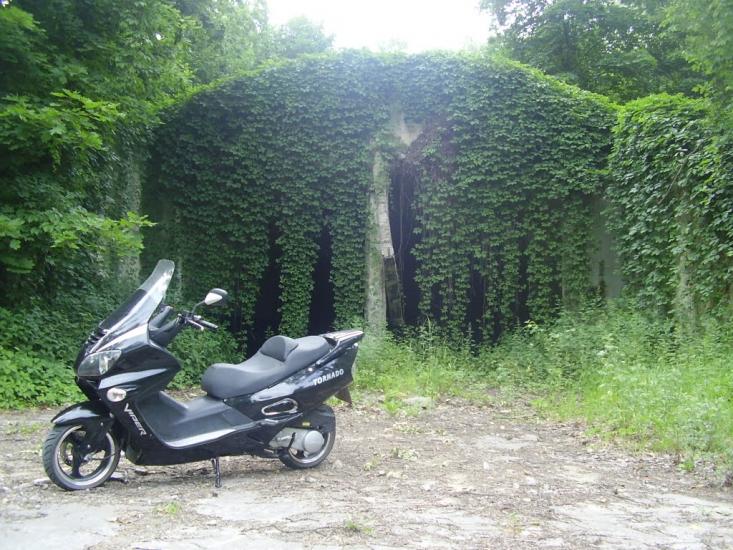 Ретик з panoramio.com - Ретик