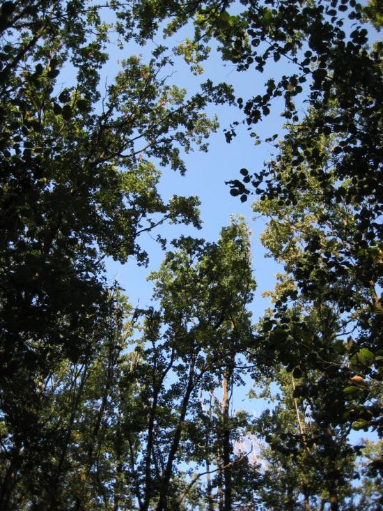 Заострів з panoramio.com - Заострів