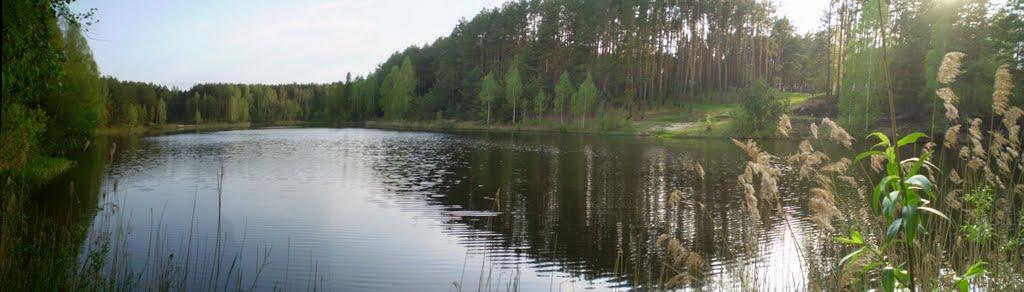 Залізня з panoramio.com - Залізня