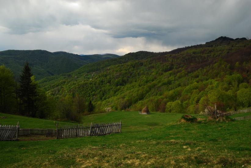Косівська Поляна з panoramio.com - Косівська Поляна