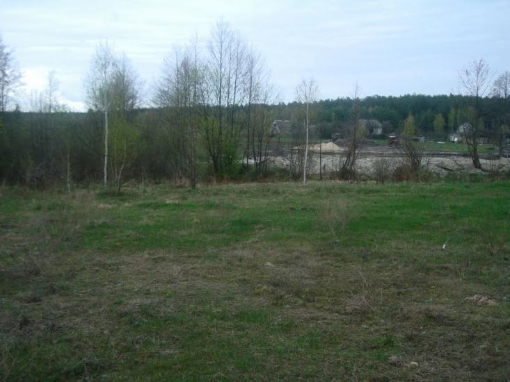 Здвижівка з panoramio.com - Здвижівка