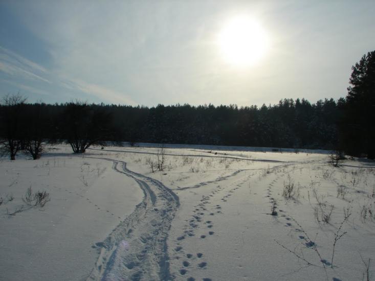 Мохначі з panoramio.com - Мохначі