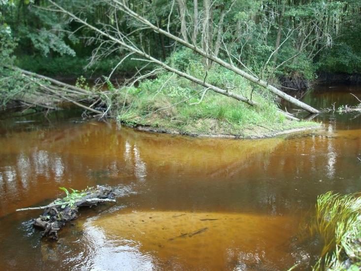 Хрипськ з panoramio.com - Хрипск