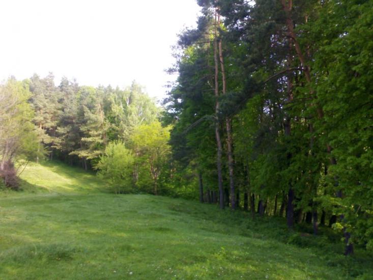 Голозубинці з panoramio.com - Голозубинці