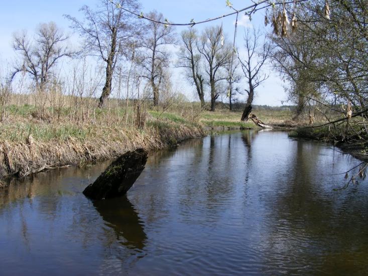 Торське з panoramio.com - Торське