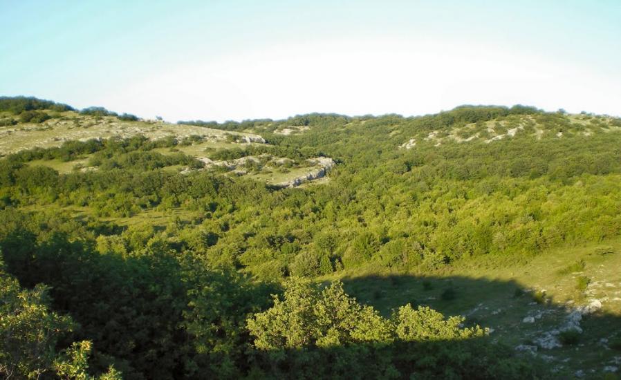 Пчолине з panoramio.com - Pcholyne
