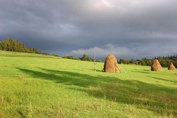 Карпатське з panoramio.com - Карпатське