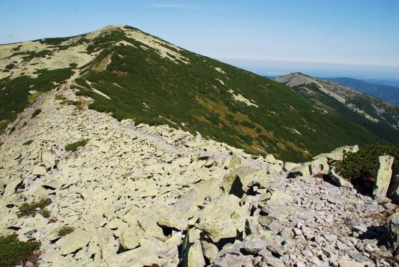 Осмолода з panoramio.com (ч.2) - Осмолода